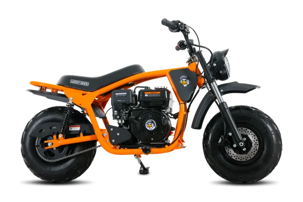 Ranger RB200 MAX — изображение 4