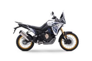 DS800 Rally